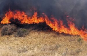 incendio-pastizal
