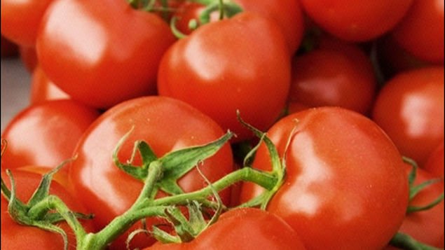 Tomate