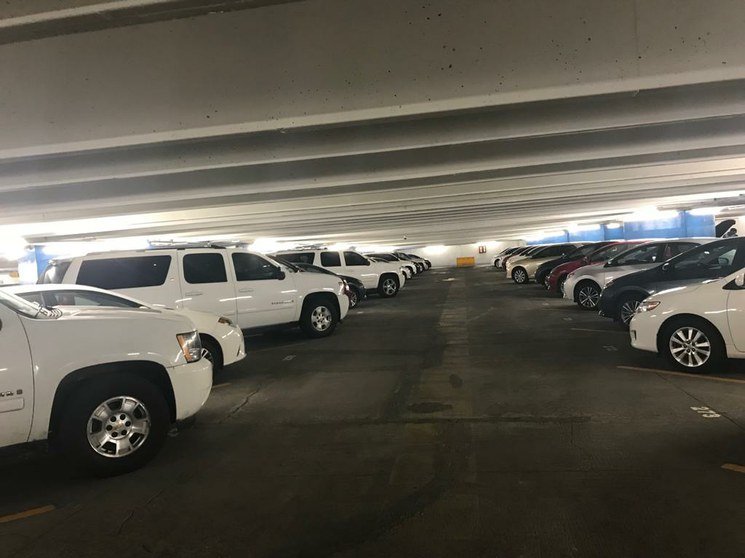 image_large (1)