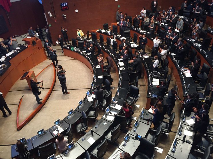 image_large (1)