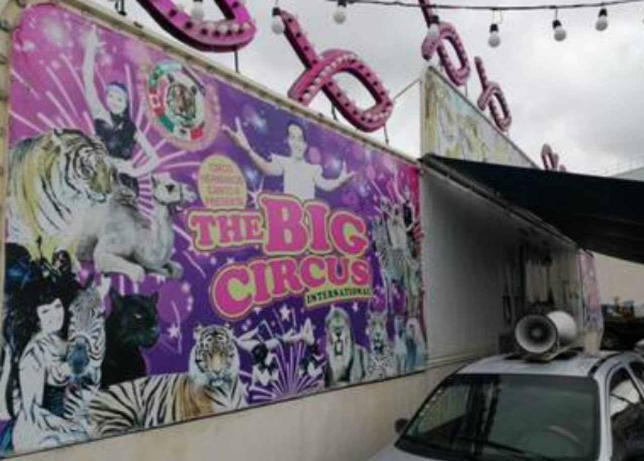 circo 2