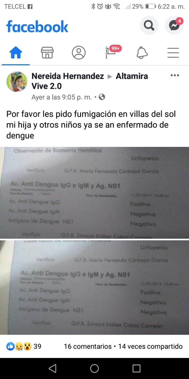 dengue 3