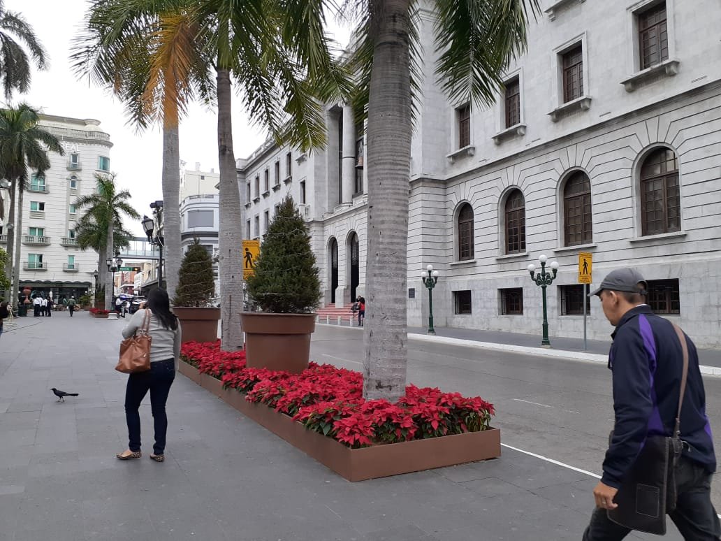 IMG-20191203-WA0000