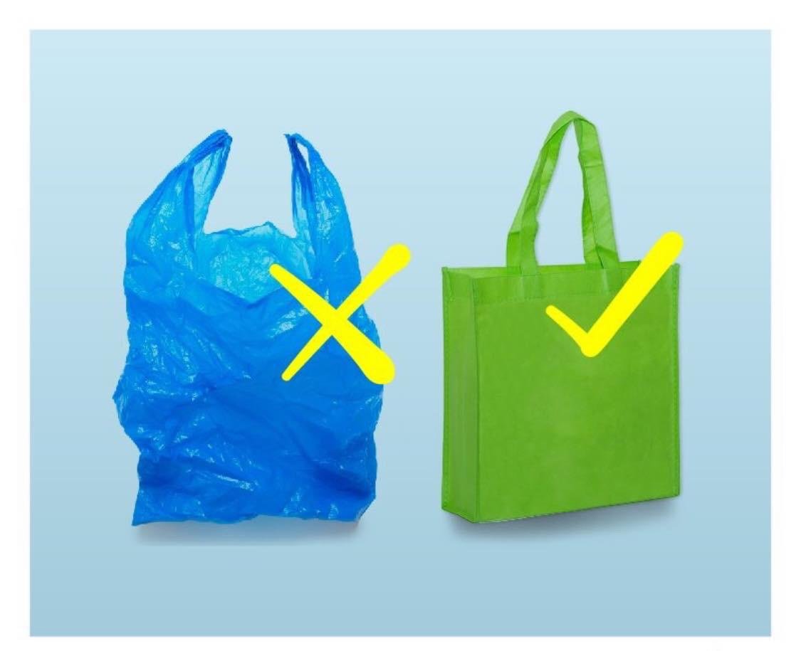bolsas