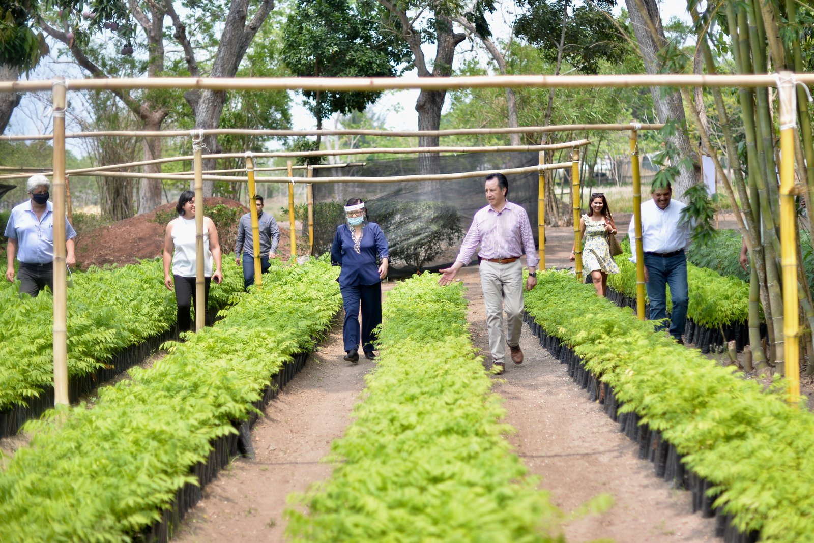 BIENESTAR, SEDEMA, RECORRIDO VIVEROS (1)