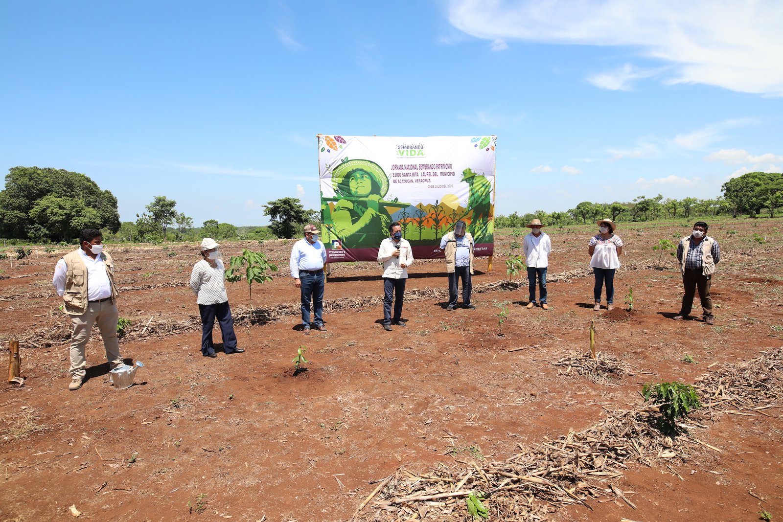 JORNADA NACIONAL 100 MILLONES DE PLANTAS (5)