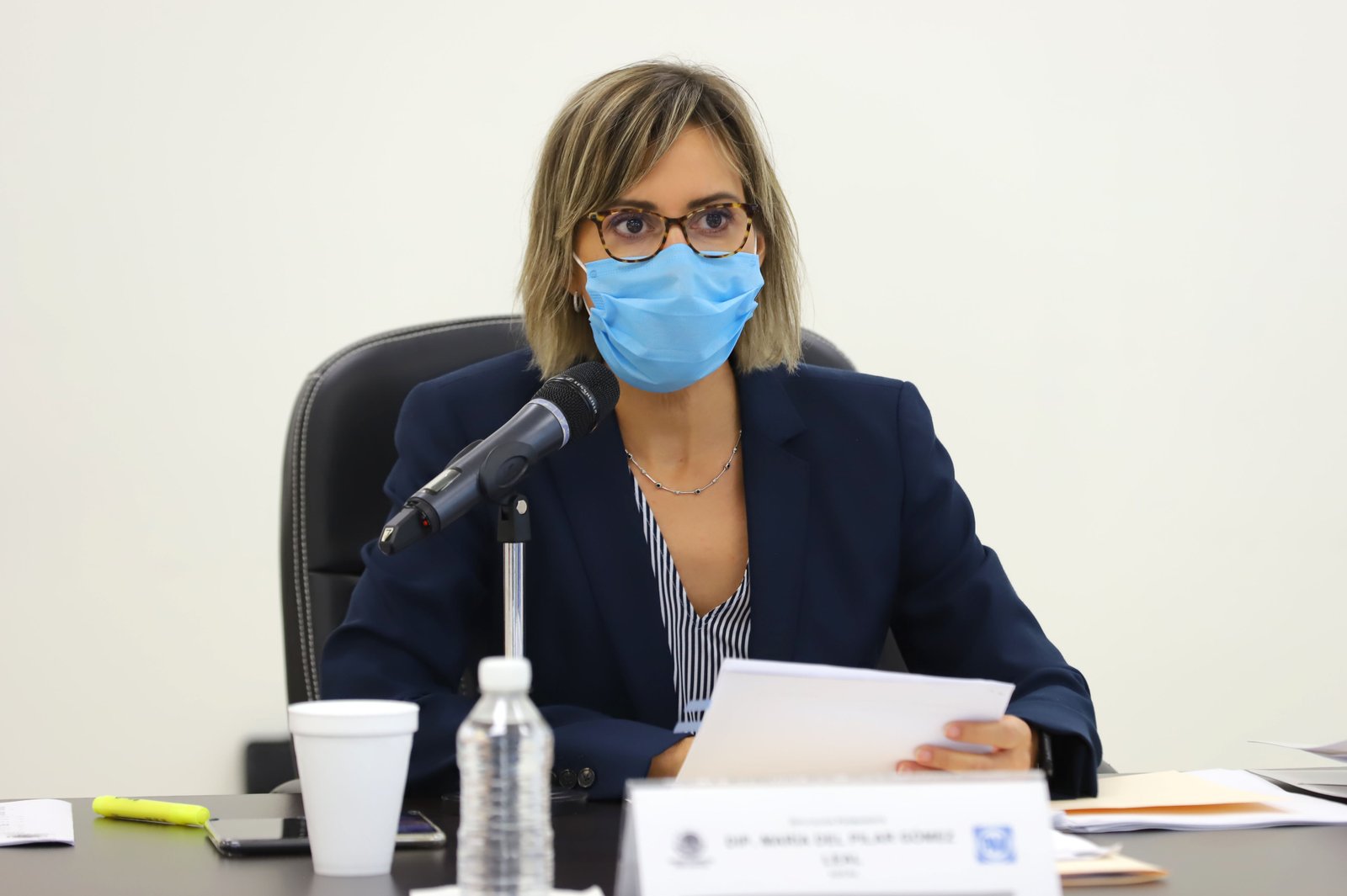 Dip. Pilar Gómez