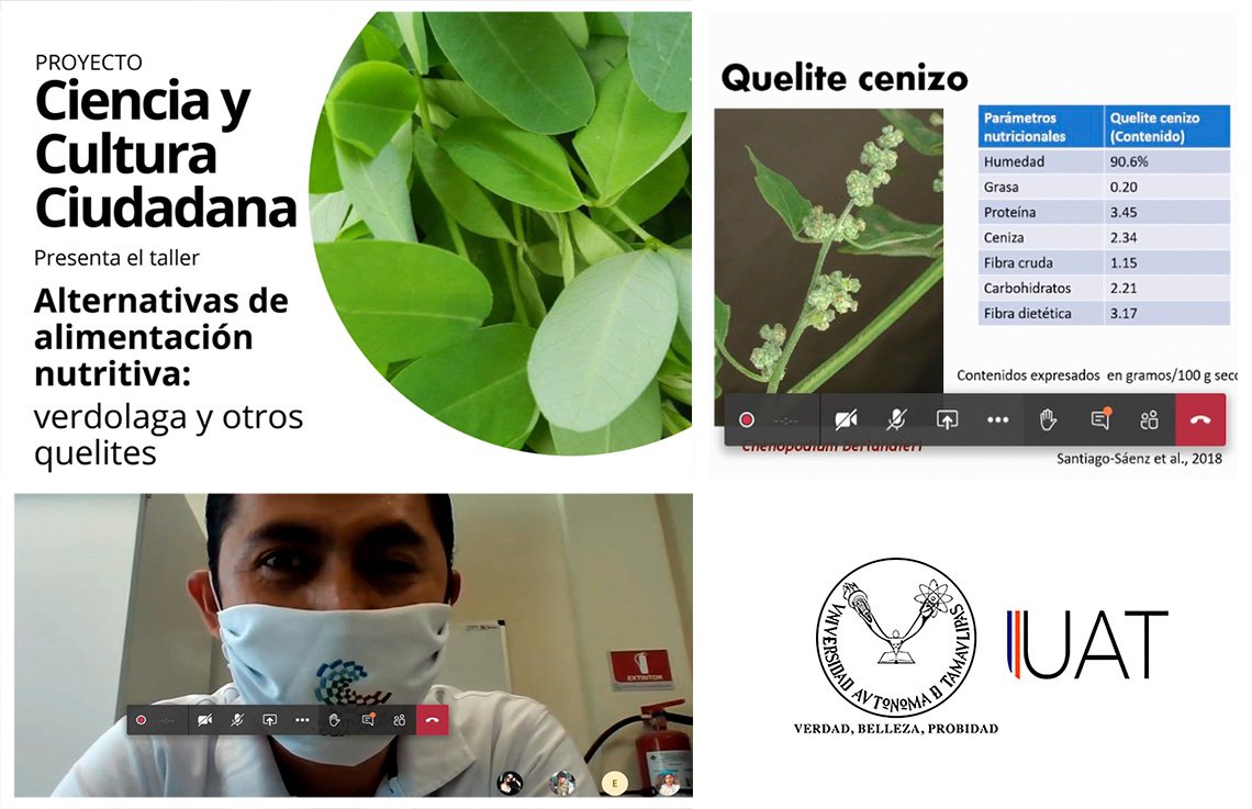 collage alimentaciín 19 10 2020