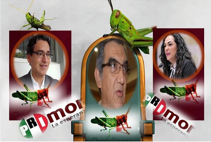 CHAPULINES....