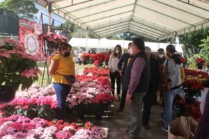 EXTIENDEN JORNADA DE CONSUMO SOLIDARIO (1)