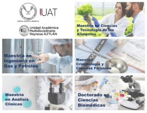 Collage CONACYT 27 04 2021