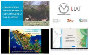 ecologia 16 07 2021