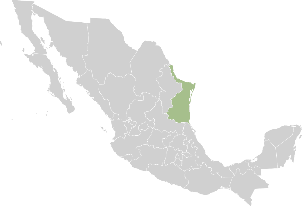 Mexico_states_tamaulipas