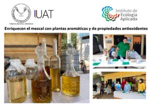 mezcal 21 08 2021
