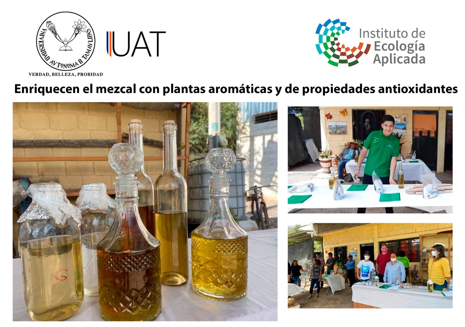 mezcal 21 08 2021