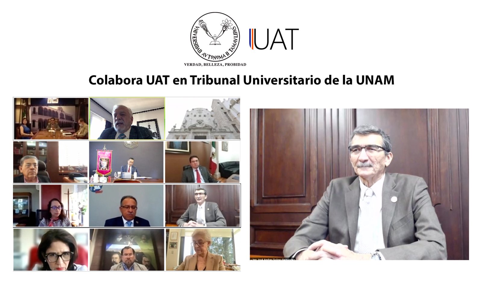 colaboracion tribunal 29 092021