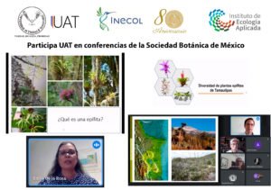 ecologia 03 09 2021