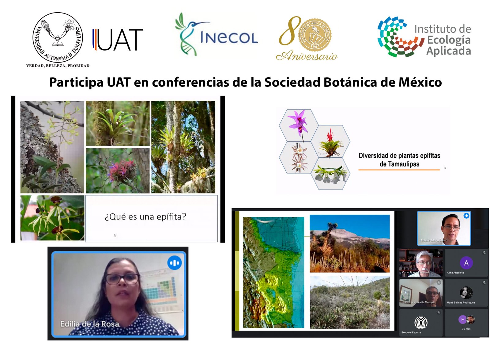 ecologia 03 09 2021