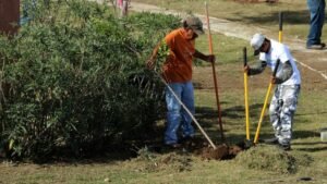 SDU-028-2021.-Impulsa Tamaulipas acciones para revertir cambio climático (2)