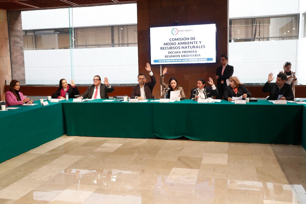 Imagen de WhatsApp 2022-11-23 a las 17.54.03