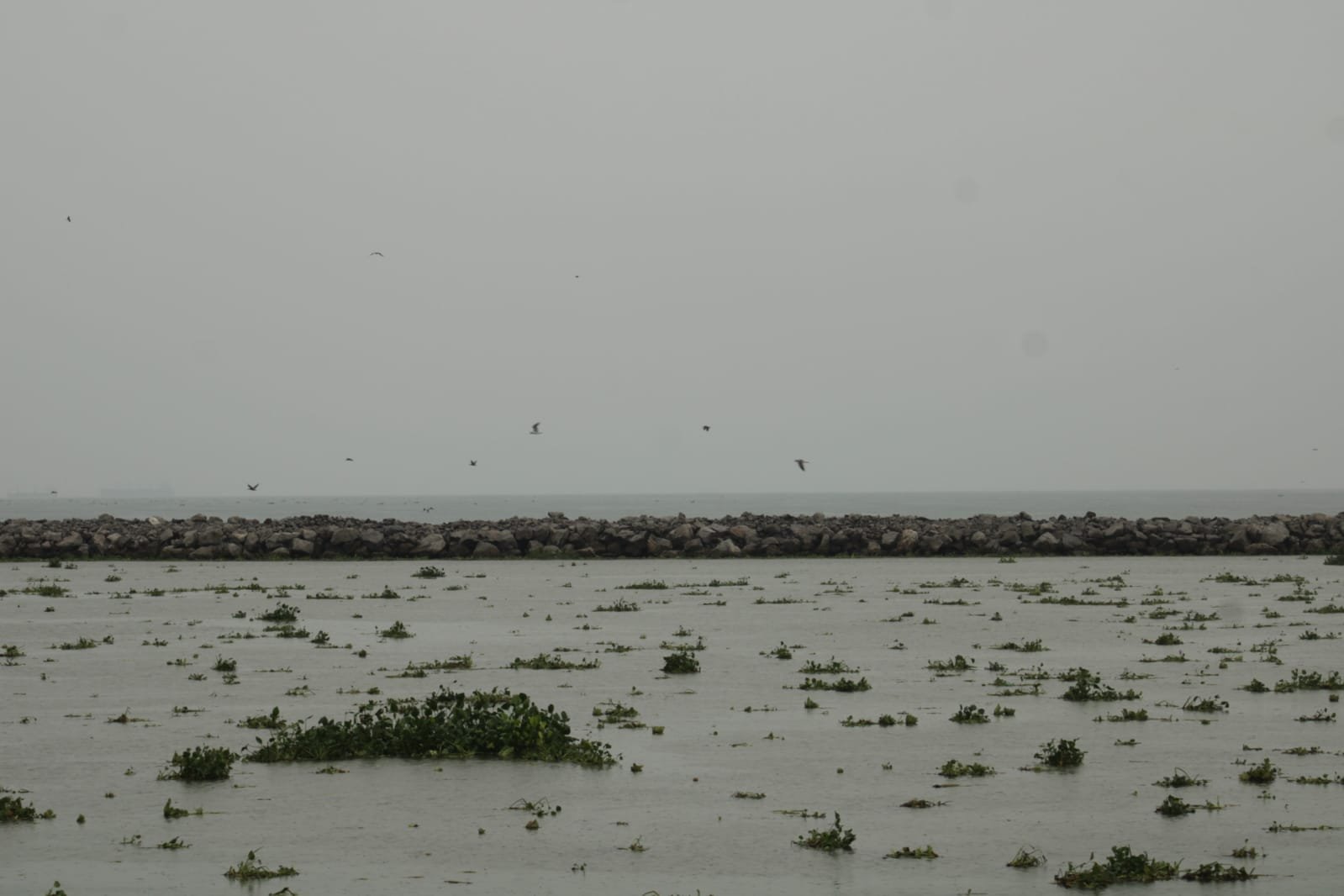 IMG-20240724-WA0017