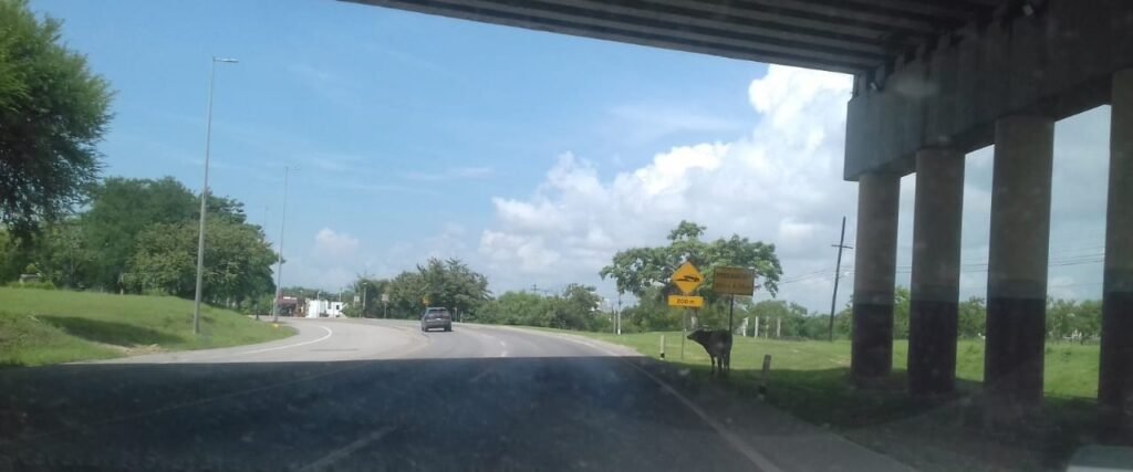 IMG-20250929-WA0004