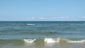 IMG-20250929-WA0011