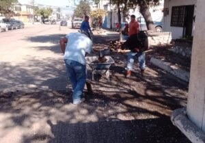 IMG-20251220-WA0014