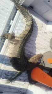 IMG-20251226-WA0023