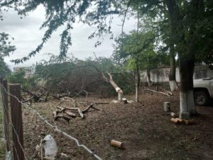 IMG-20260116-WA0035