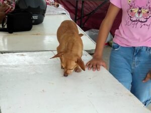 IMG-20260424-WA0119