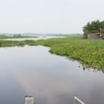 Lluvias mantienen casi lleno el sistema lagunario Champayán y garantizan abasto de agua