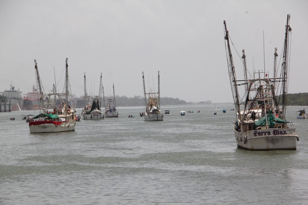IMG-20260604-WA0009