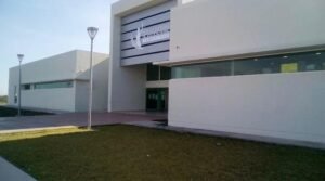 IMG-20260612-WA0010(1)