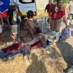 Vaca escapa del corral en el rastro municipal de Tampico y hiere a dos trabajadores.