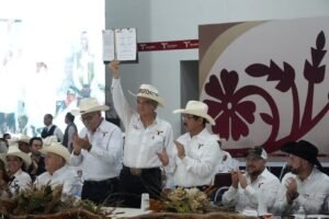 IMG-20260829-WA0012