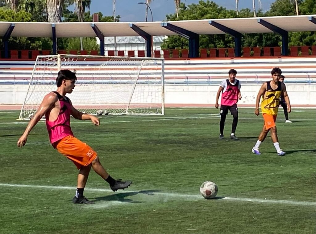 IMG-20260902-WA0012(1)