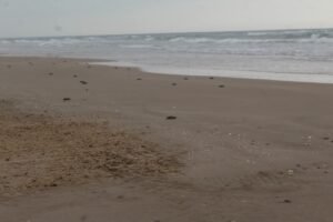 IMG-20260922-WA0000