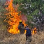Bajan incendios en Ciudad Victoria, pero Protección Civil mantiene más de 600 atenciones mensuales ante riesgos