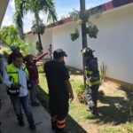 Enjambre de abejas moviliza a cuerpos de emergencia en Altamira