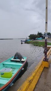 IMG-20260929-WA0010(1)