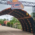 Pumpkin Dash Farm llega a Ciudad Madero con calabazas, juegos y diversión familiar del 9 de octubre al 1 de noviembre