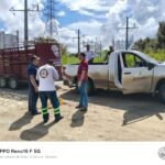 Altamira resguarda un bovino y un caballo sueltos para prevenir accidentes en calles
